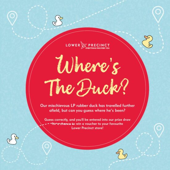 where's the duck competition graphic