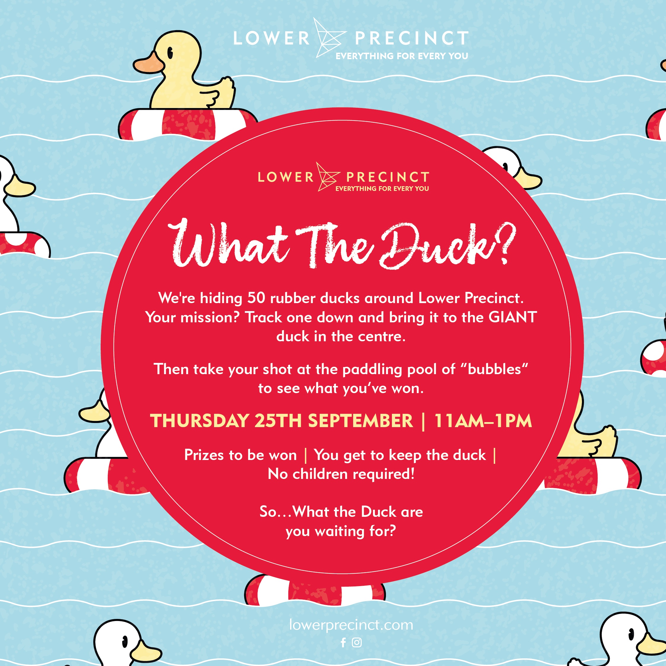 what the duck graphic